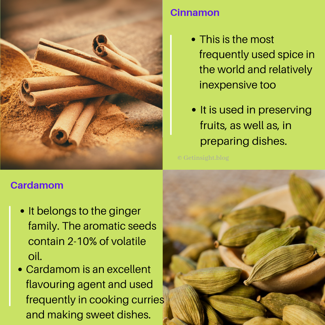 Know The Benefits Of Spices And Condiments Getinsight