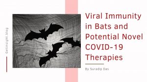 Viral Immunity in Bats and Potential Novel COVID-19 Therapies